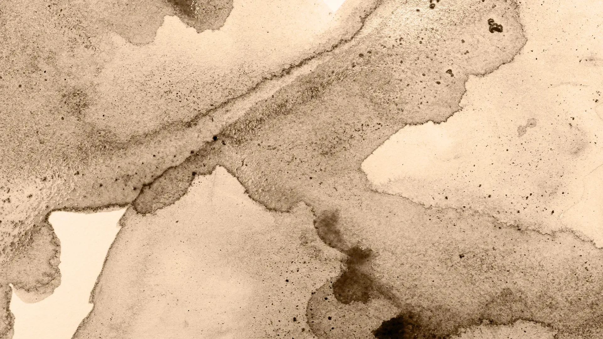 Yıldız Entegre – Akçaağaç MDFLam / SuntaLam Panel