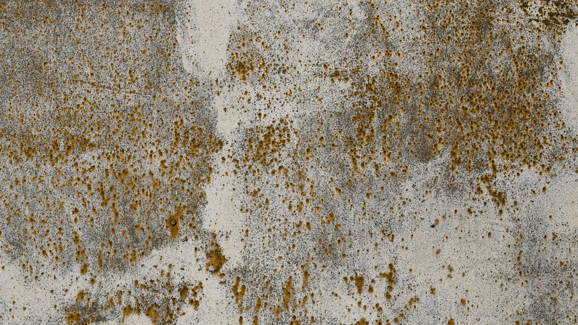 Yıldız Entegre – Lagina MDFLam / SuntaLam Panel