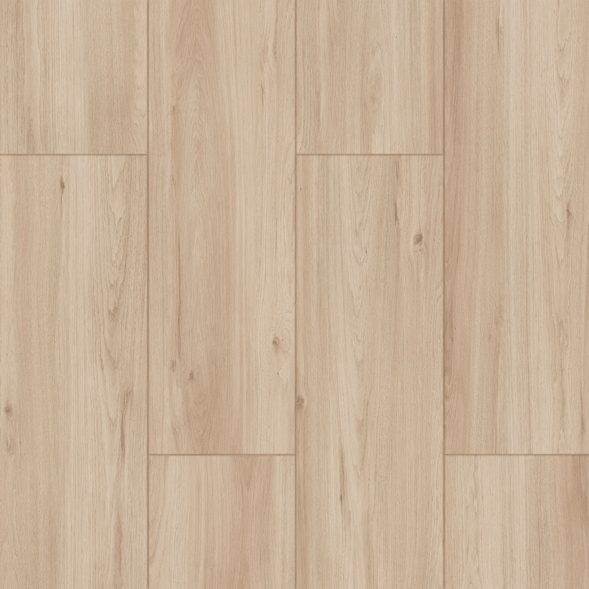 Çamsan – Barla – 7004