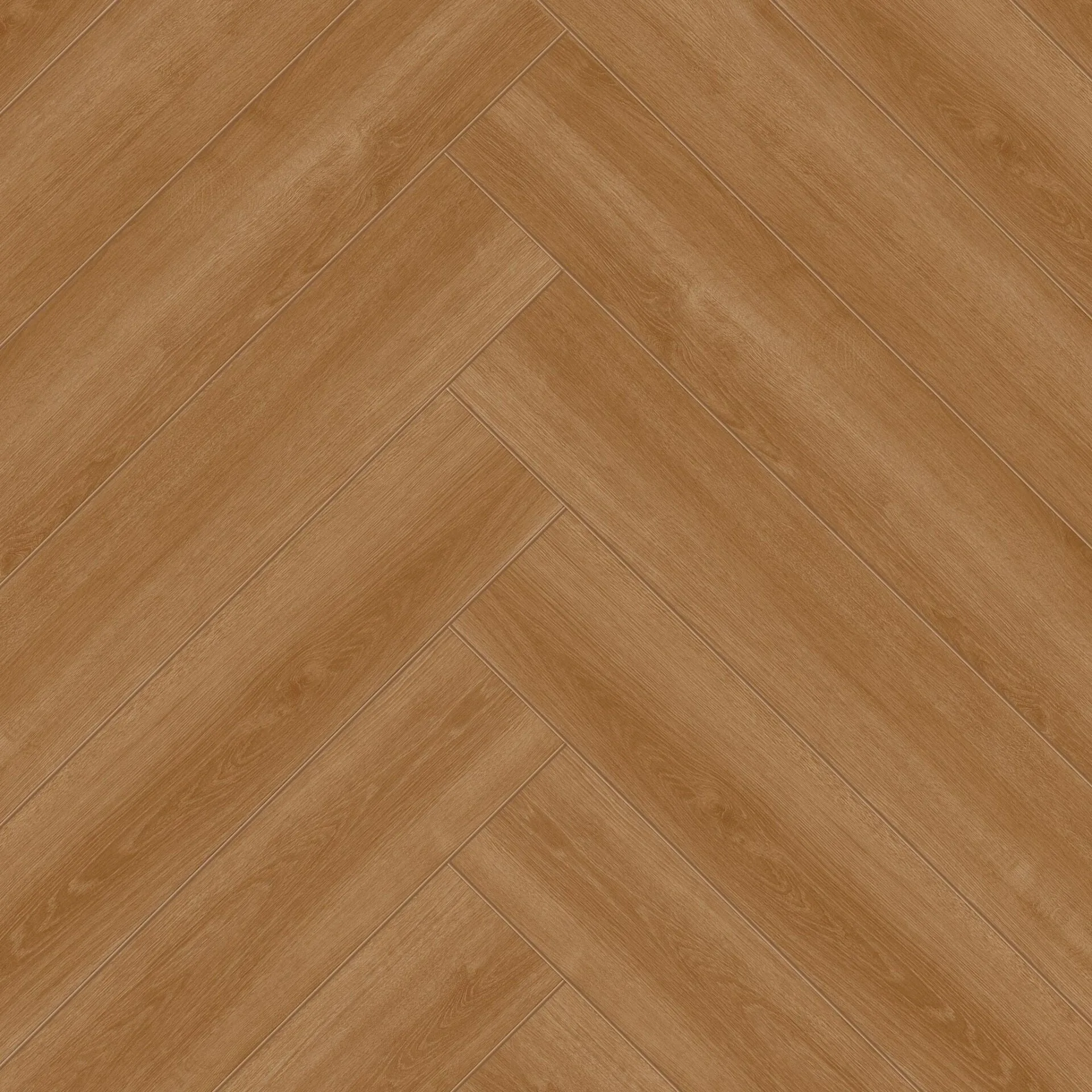 Çamsan – Filibe Meşe – 4541