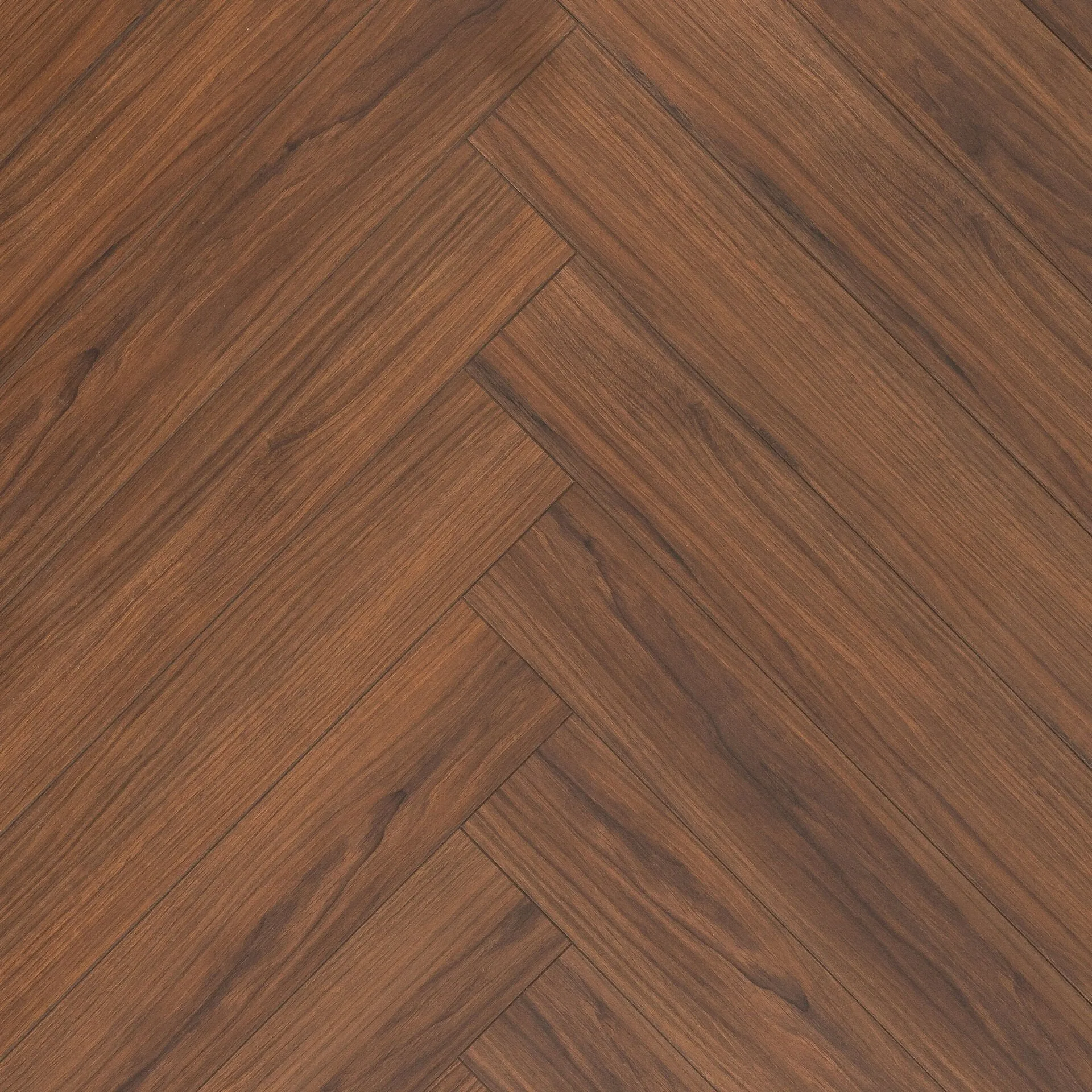Çamsan – Troya – 8002