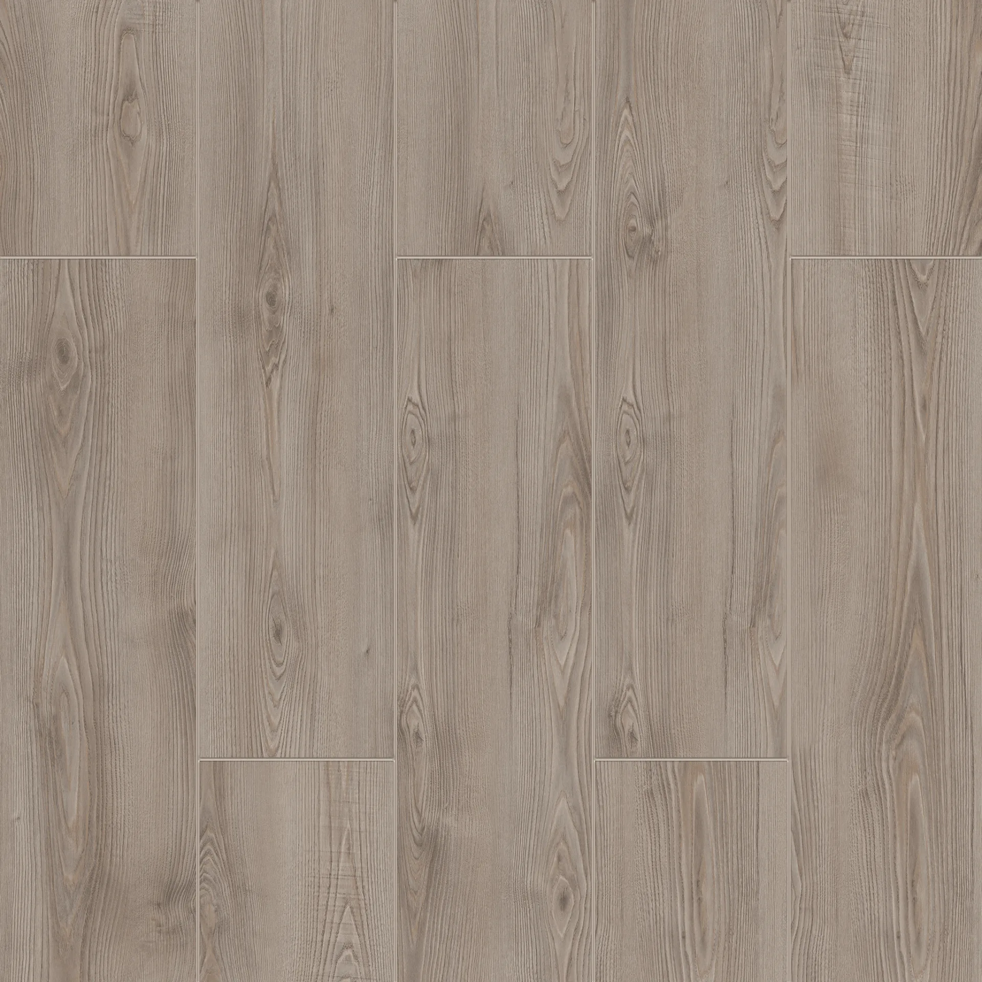 Çamsan – Mauna – 6005