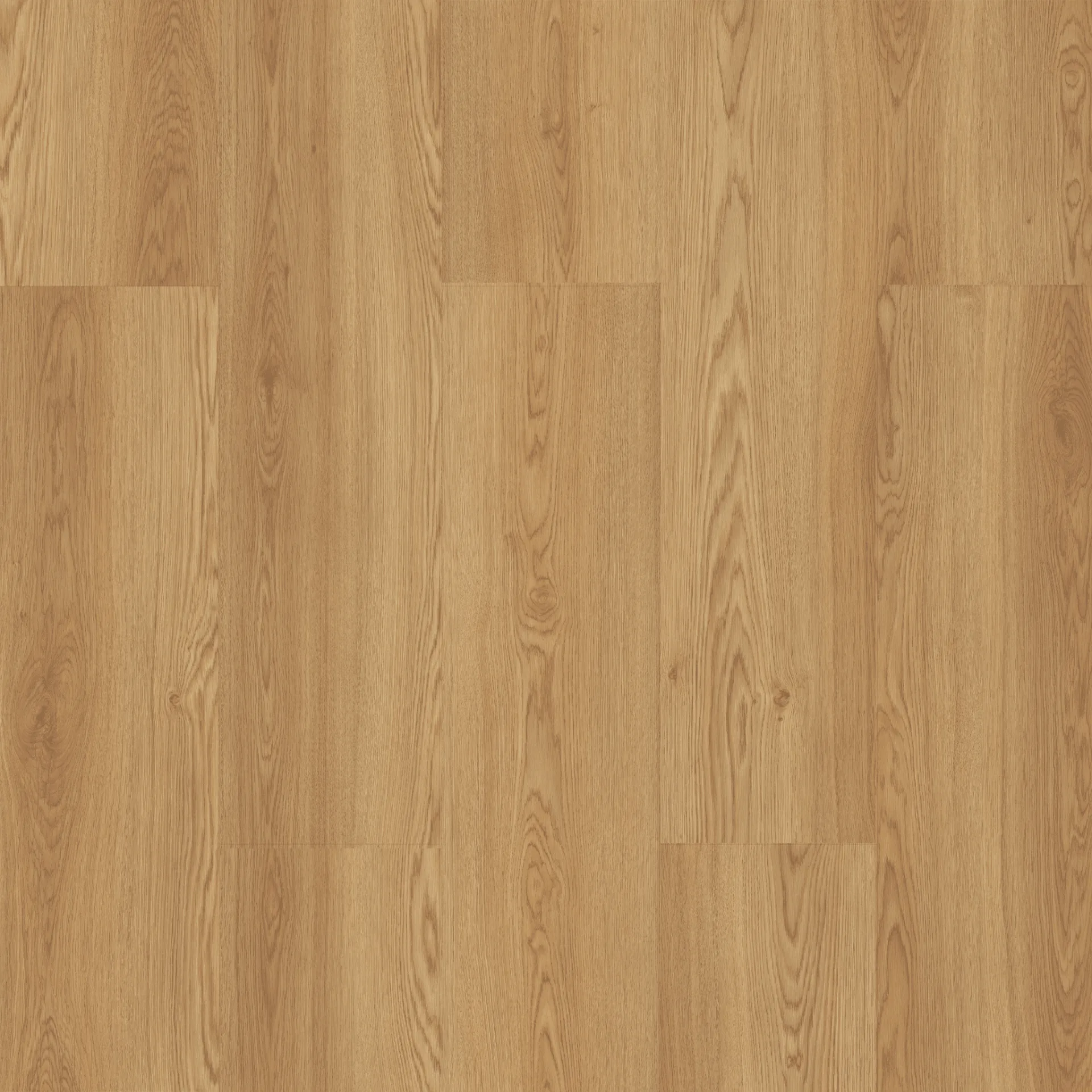 Çamsan – Abant Meşe – 704