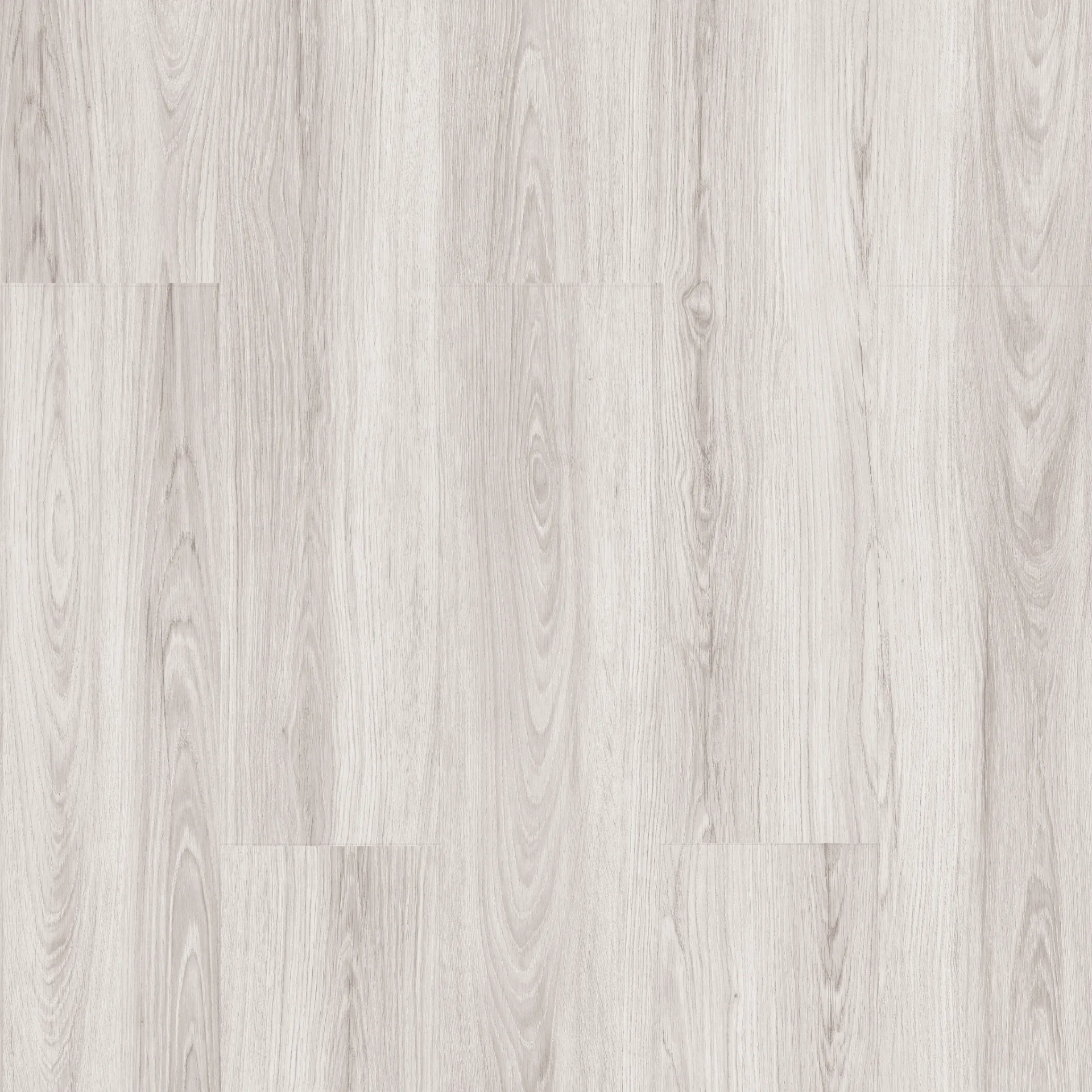 Çamsan – Asos Meşe – 1505