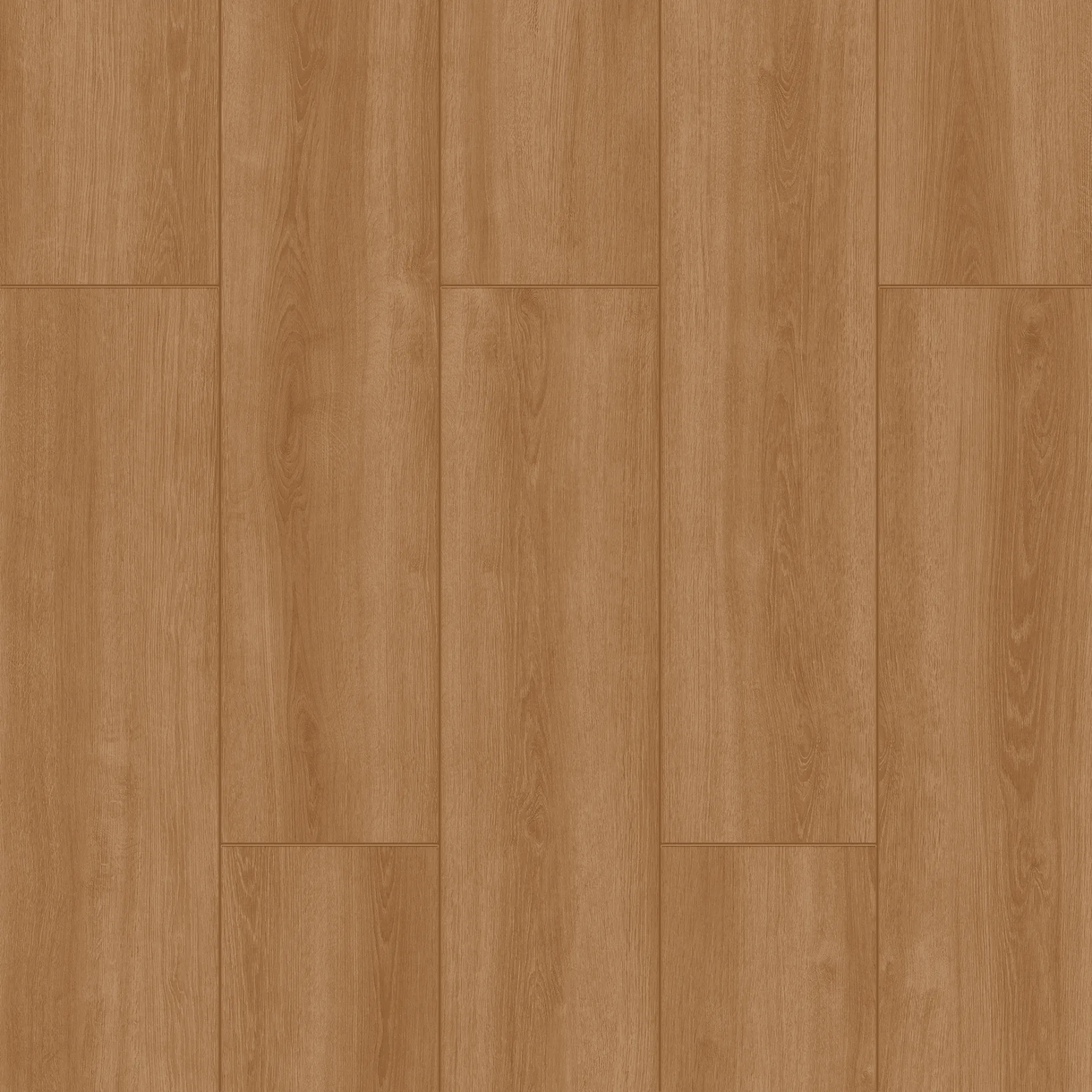 Çamsan – Filibe Meşe – 4541