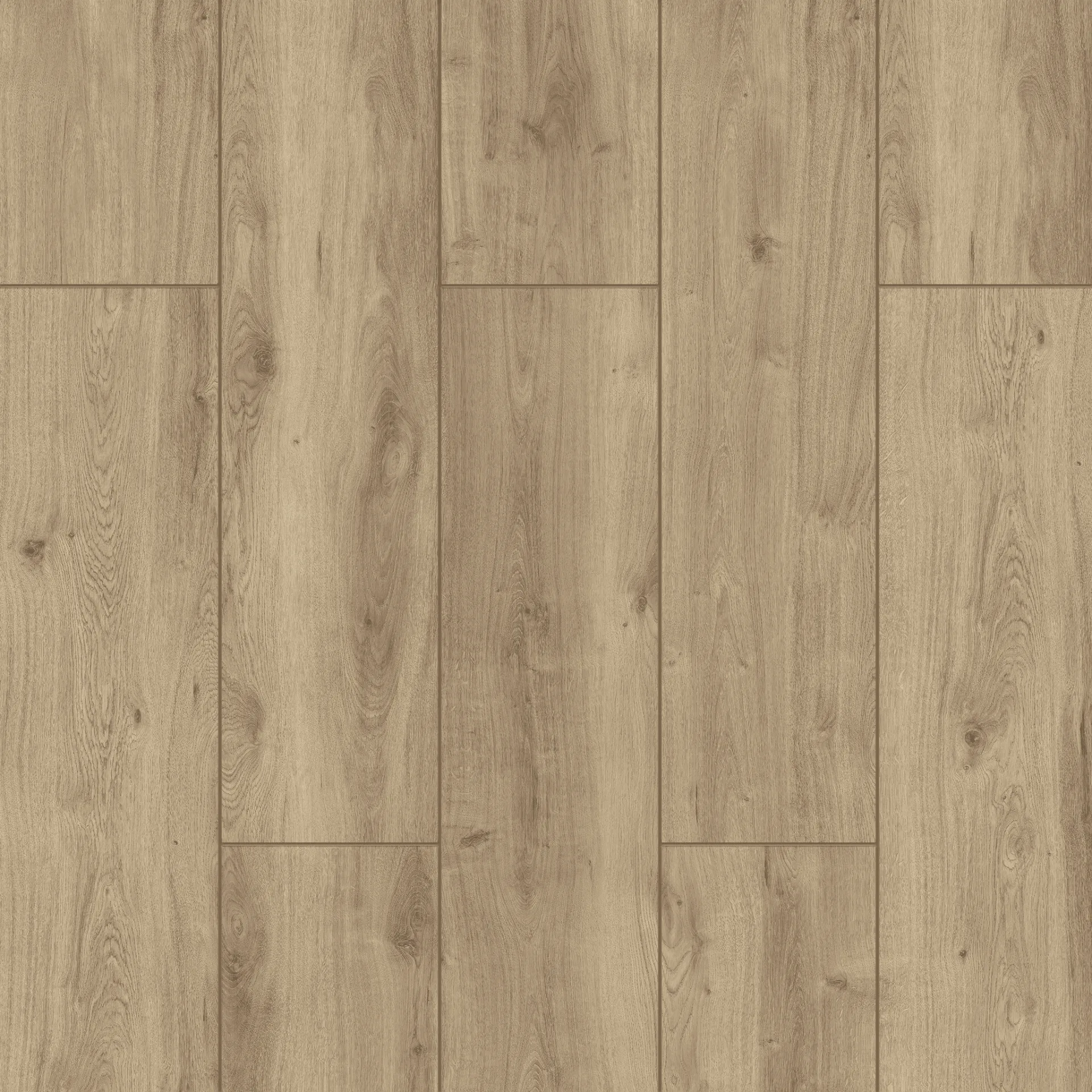Çamsan – Keops – 2501