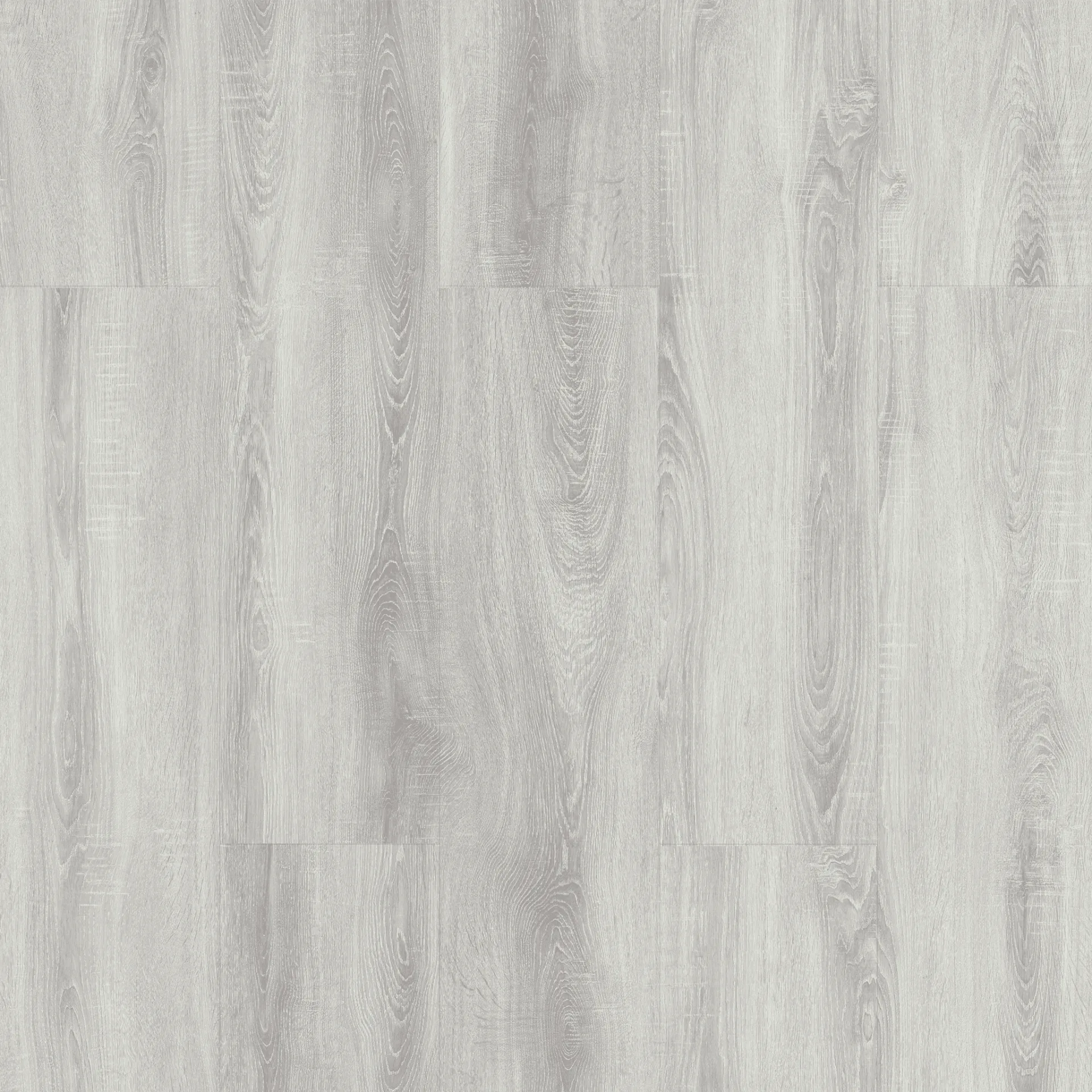Çamsan – Burgaz Meşe – 5006