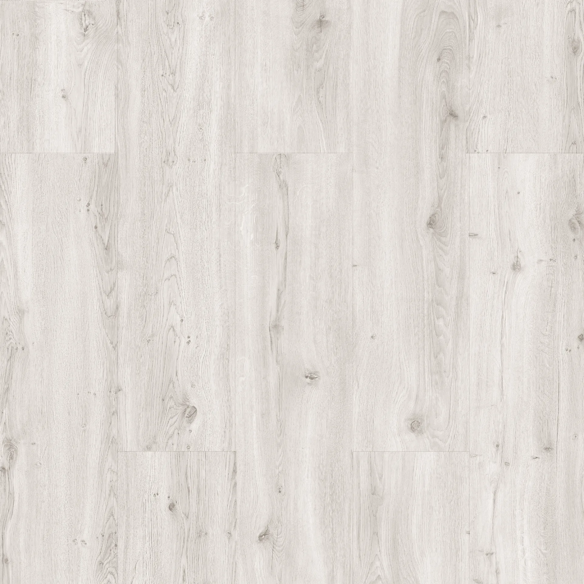 Çamsan – Karya Meşe – 5005