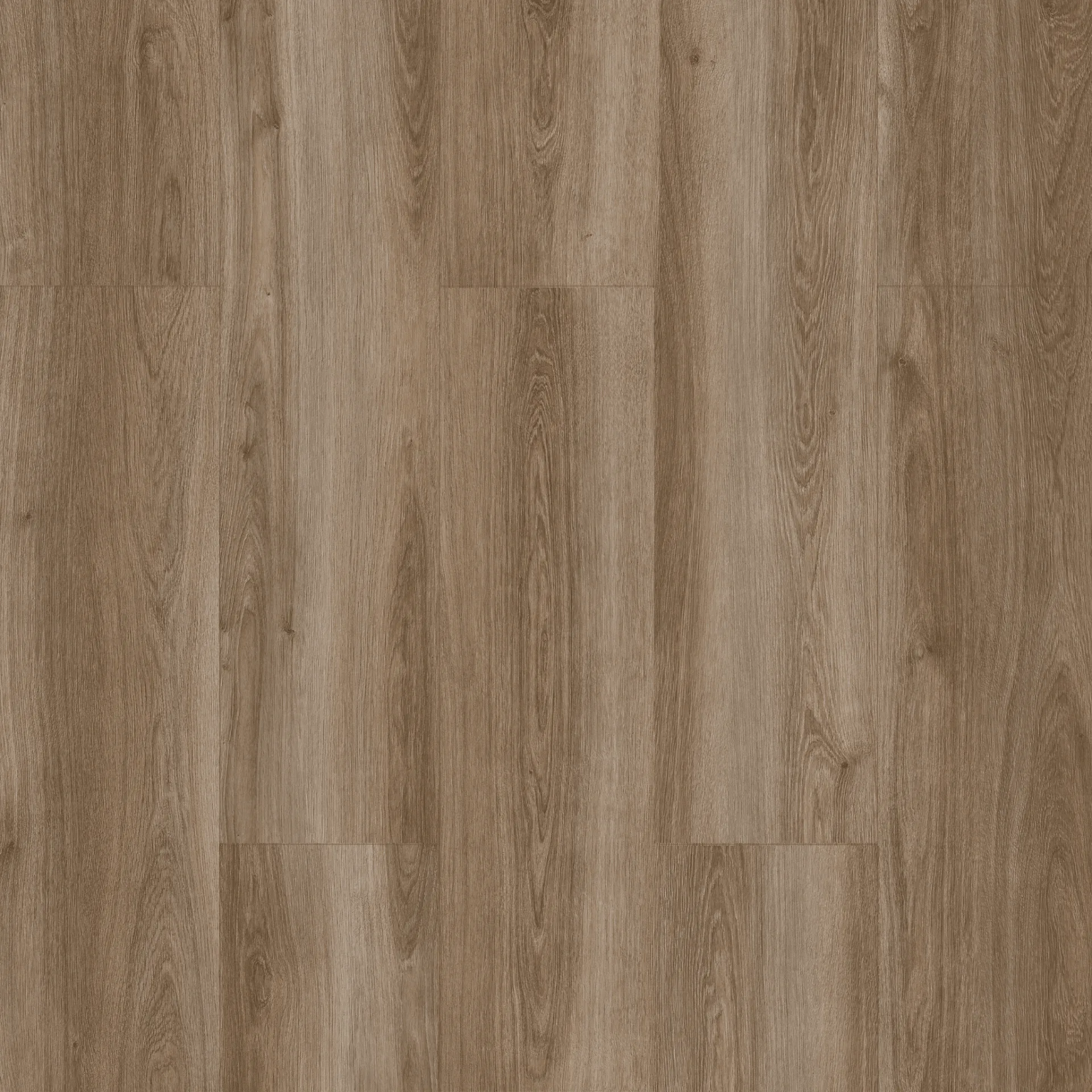 Çamsan – Polar Meşe – 5008