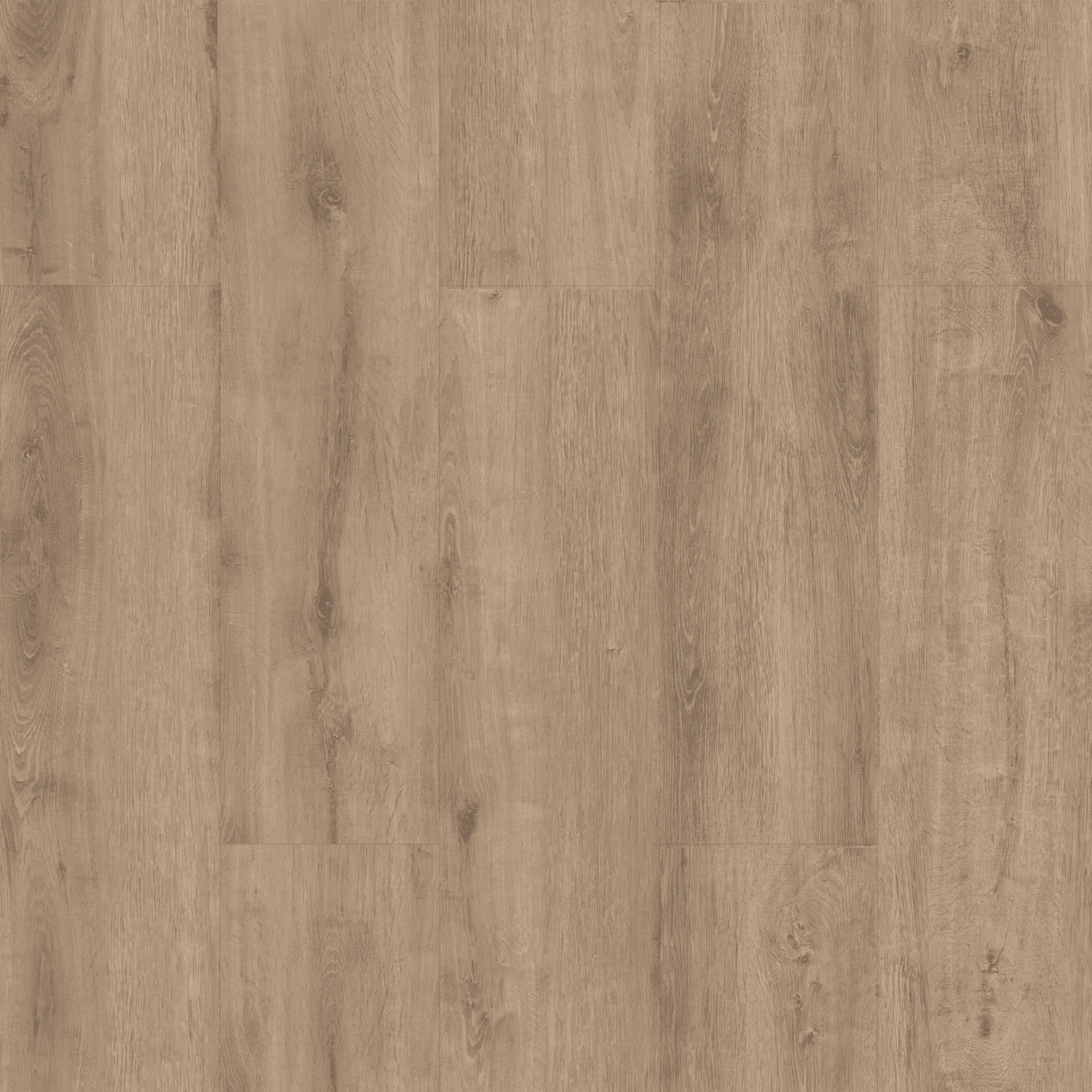 Çamsan – Sakarya Meşe – 5002